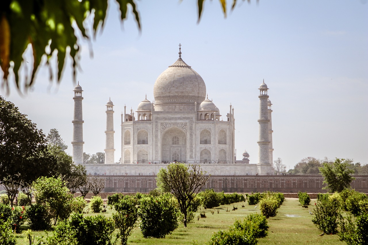 Best Betting Apps in India Signup: Step-by-Step Guide for India (2026)